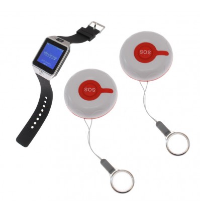 Alert Watch System 2