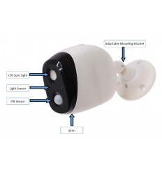 Battery Powered Security Light & Alarm (with motion and daylight sensor)