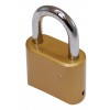Combination Padlock with Parking Post