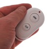 BT Alarm Remote Control (in hand)
