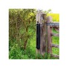 2B Solar Powered, Wireless Perimeter Beams (mounted on a wooden gatepost).