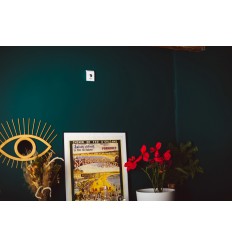 Battery Powered Internal BT Wireless Siren.