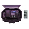 Protect-800 2 Channel Outdoor Receiver 
