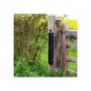 2B Perimeter Alarm Beams
