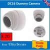 White Decoy Dome CCTV Camera (DC16)